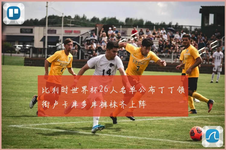 比利时世界杯26人名单公布丁丁领衔卢卡库多库裤袜齐上阵